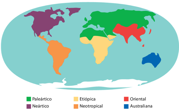 Regiões Biogeográficas da Terra