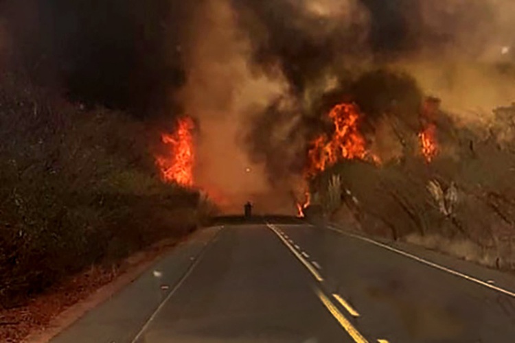 Incêndio às margens da rodovia PI-141 é registrado por moradores.