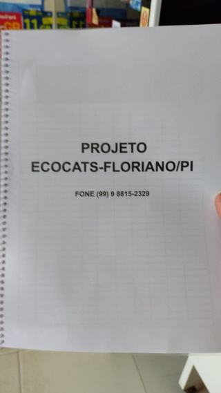 Projeto EcoCats