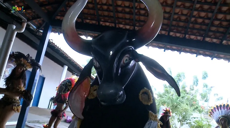 Bumba Meu Boi se torna patrimônio cultural imaterial do Piauí.